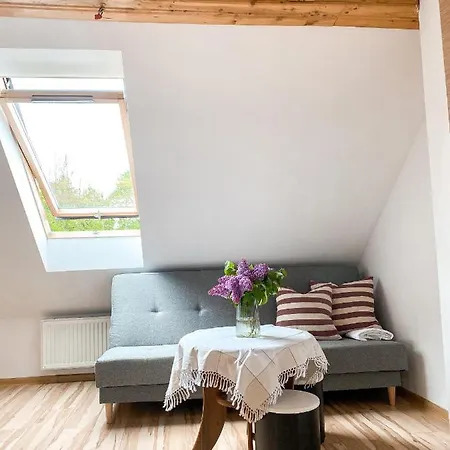 Apartament Przy Strumyku