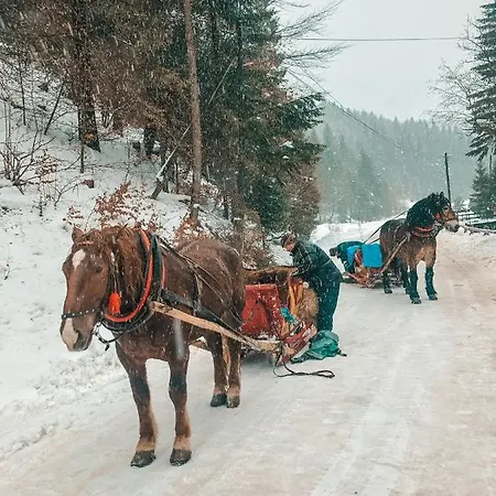 Przy Strumyku Appartement Szczawnica