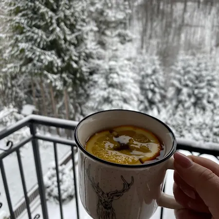 Przy Strumyku Appartement